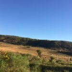 campo